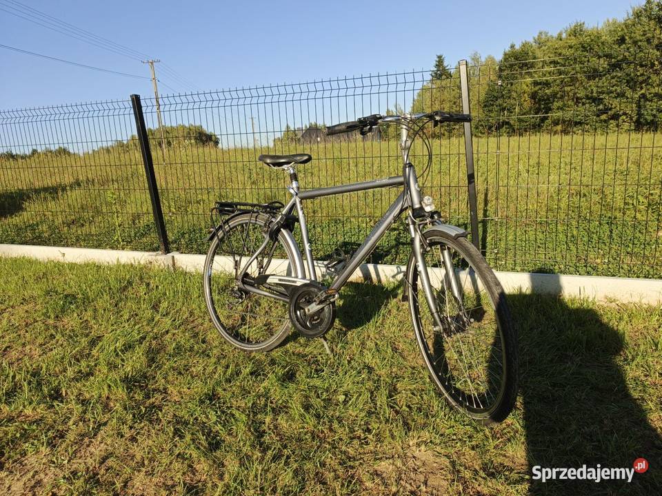 Rower Pegazus Solero Ołpiny