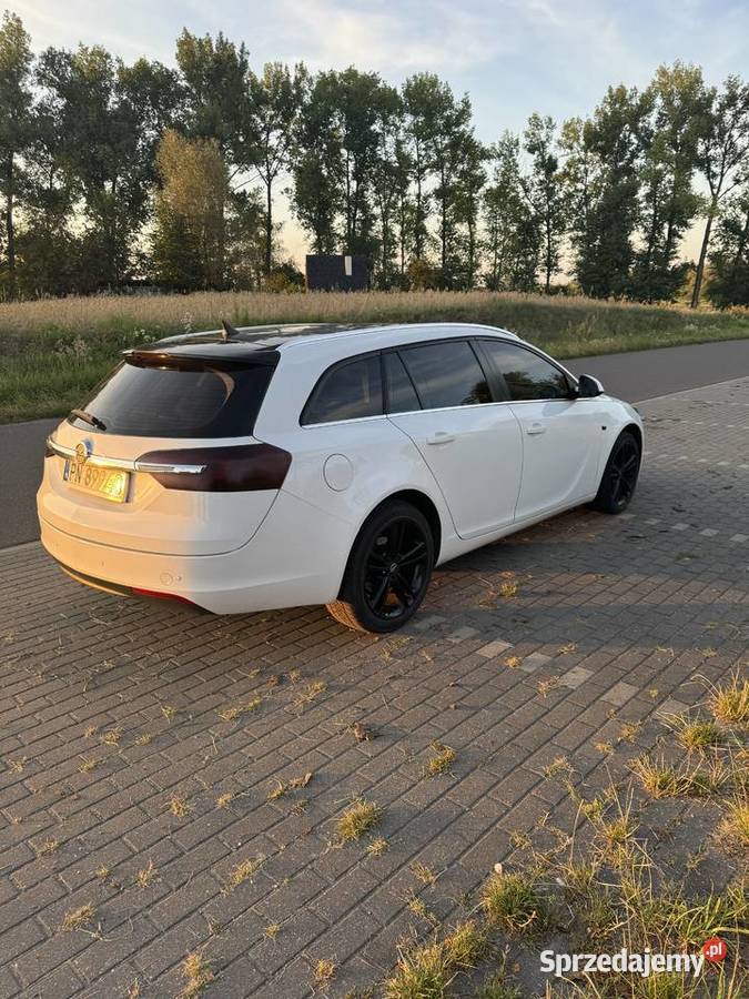 Opel Insignia 399000km Izbica Kujawska sprzedam