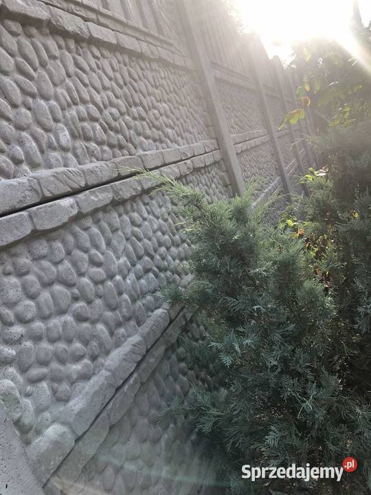 Płyty betonowe do ogrodzenia montaż ogrodzenia Ożarów Mazowiecki