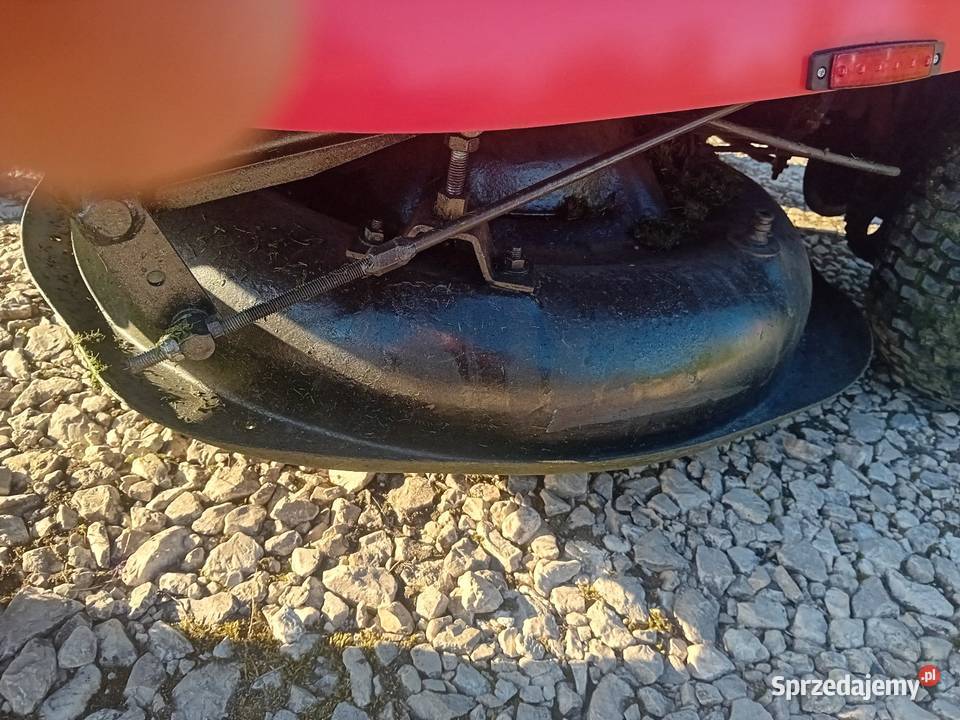 Castel Garden el63 Wiślica