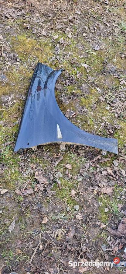 Błotnik Prawy Renault Megane 2 Czarny Żabno