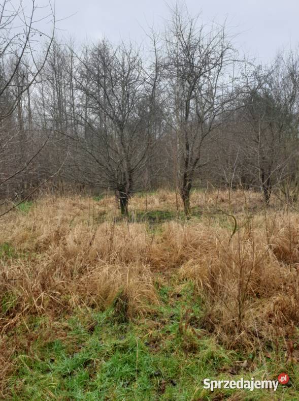 Działki budowlane 675 ha MORZEM Ustka Słupsk pomorskie