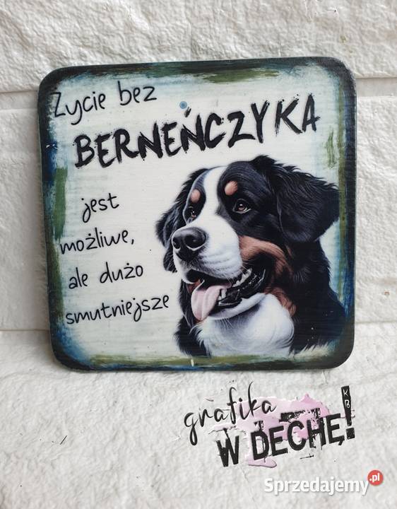 Magnes z psem rasa psów humor Kraków