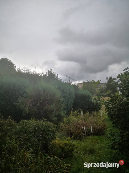 Sprzedam działkę rolno budowlaną Radzikowice sprzedam