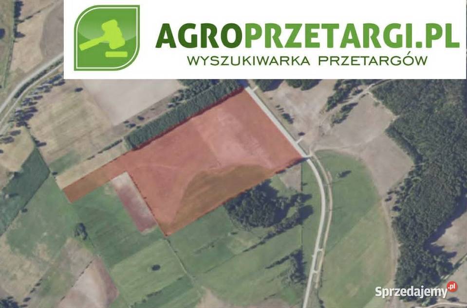 Dzierżawa 2741 ha gruntu rolnego Przasnysz