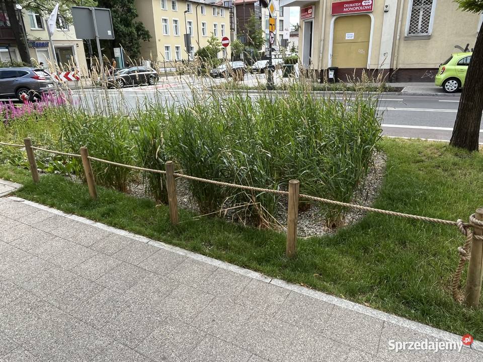 Paliki sosnowe impregnowane Palisada Kołki Bydgoszcz