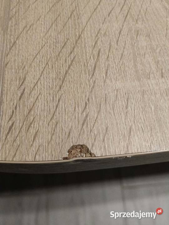 Stół Stoły z krzesłami Ostróda