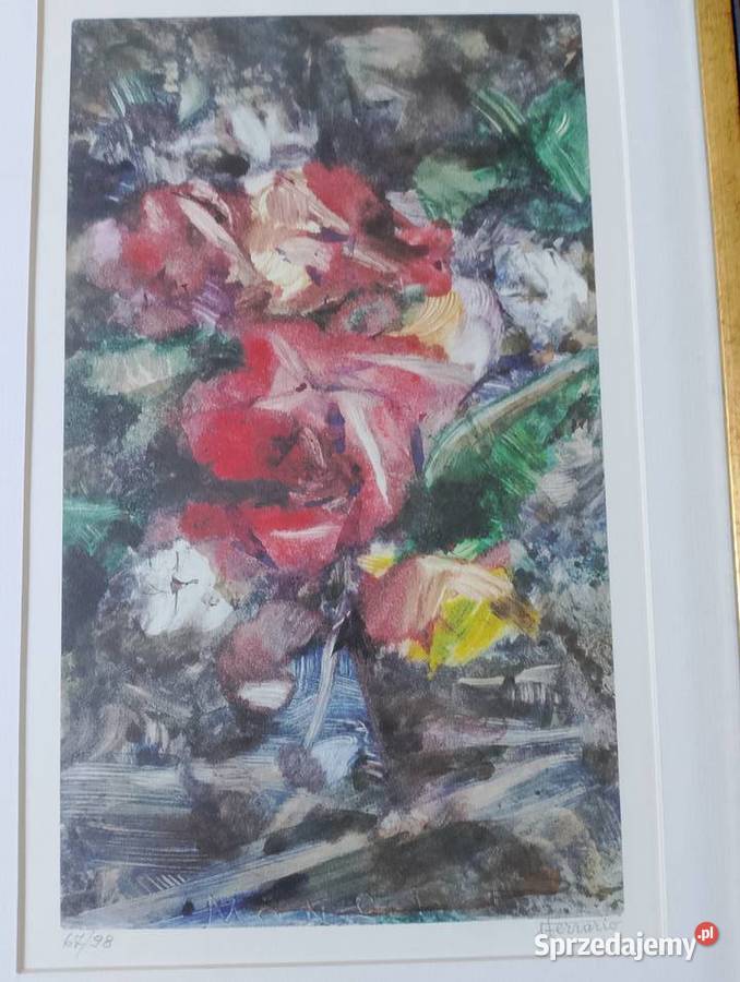 Litografia barwna Rabka-Zdrój