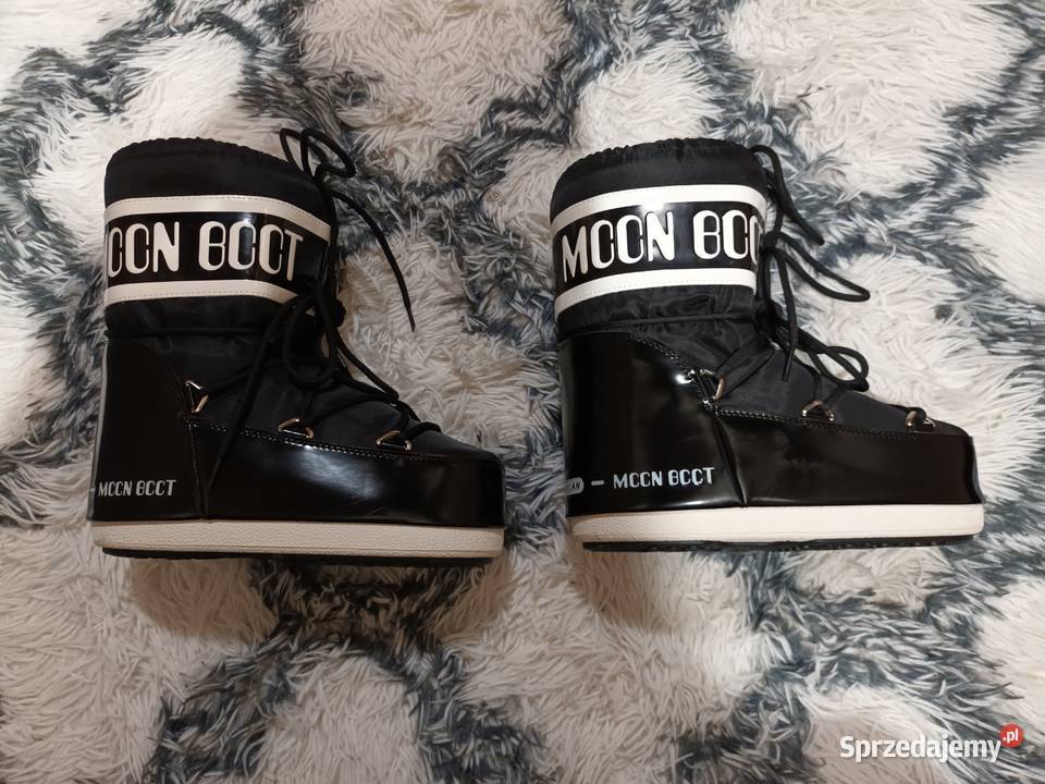 Śniegowce czarne Stanisławów