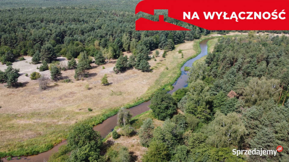 Działka letniskowa 800 m2 w Woli Chodkowskiej Grunty i działki mazowieckie Wola Chodkowska