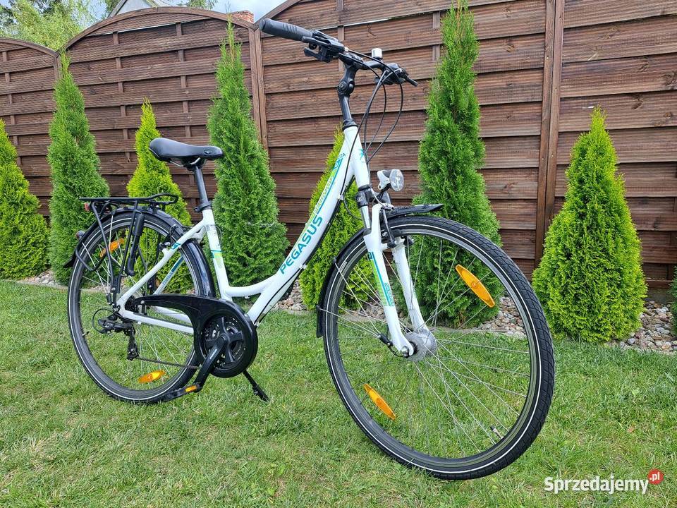 Rower Pegasus damka 28 Subkowy