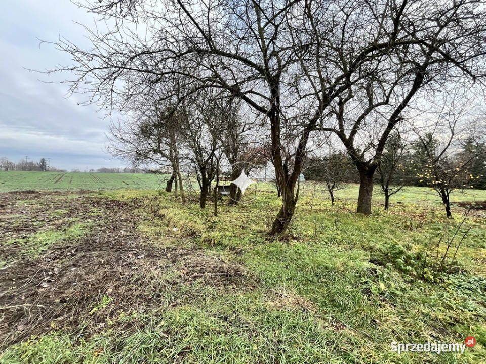Działka z zabudowaniami w HostynnemKolonii Hostynne-Kolonia