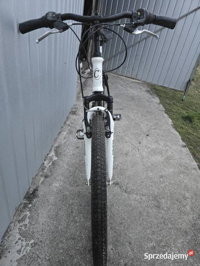 Rower Górski COYOTE Univers Duża Rama 195 Tonowo