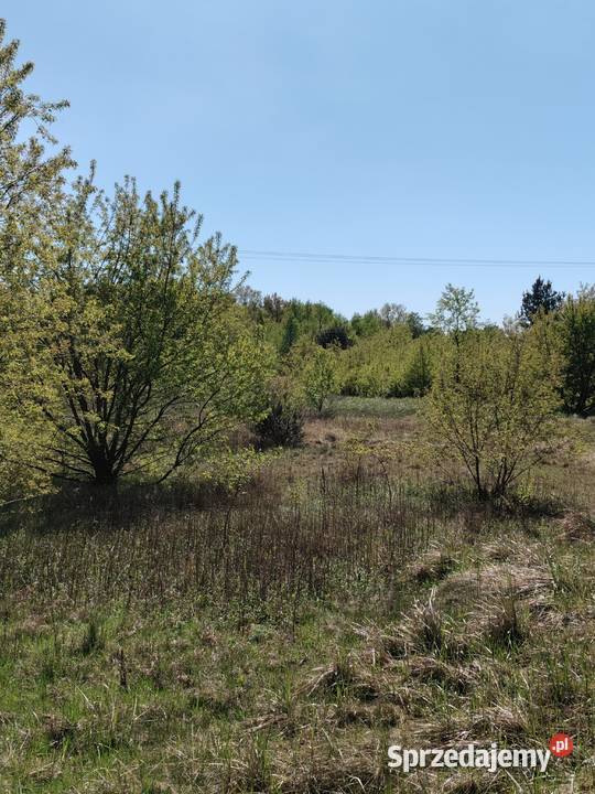 DZIAŁKA BUDOWLANA Włocławek