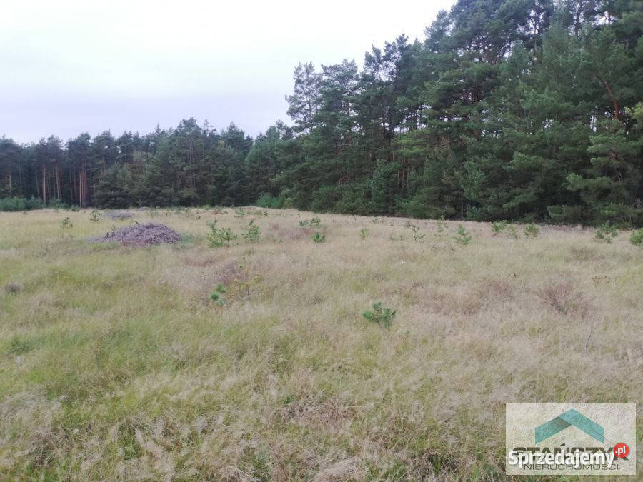 Grunt Nowy Jaromierz Powstańców Chocieszyńskich 1400m2