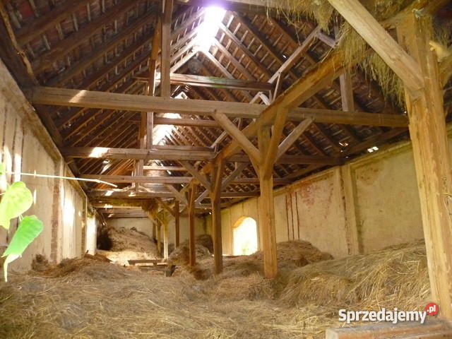 Gospodarstwo rolne zabudowania pole 598 h Tymowa sprzedam