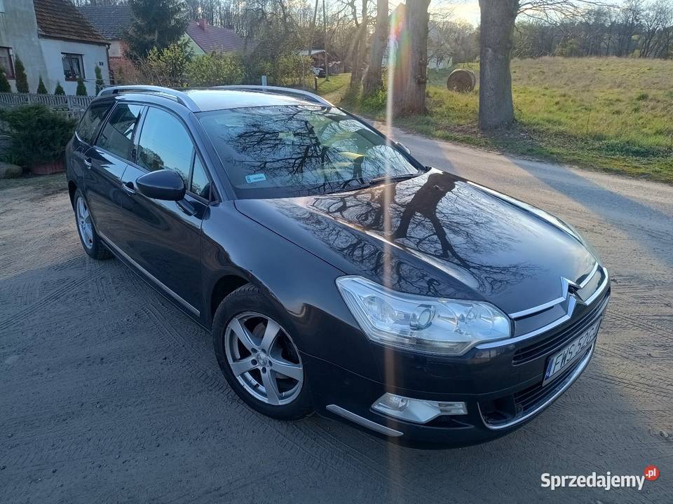 Citroen C5 20 HDI 2009R Rok produkcji 2009 C5 Sulechów
