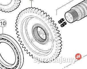 Claas Axion 870 Koło Zębate Przekładni wielkopolskie Jastrzębniki sprzedam