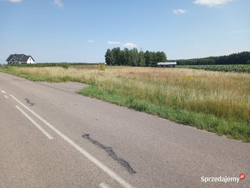 Działka budowlana 2695m2 w Lubowidzu woj Sprzedaż Lubowidz