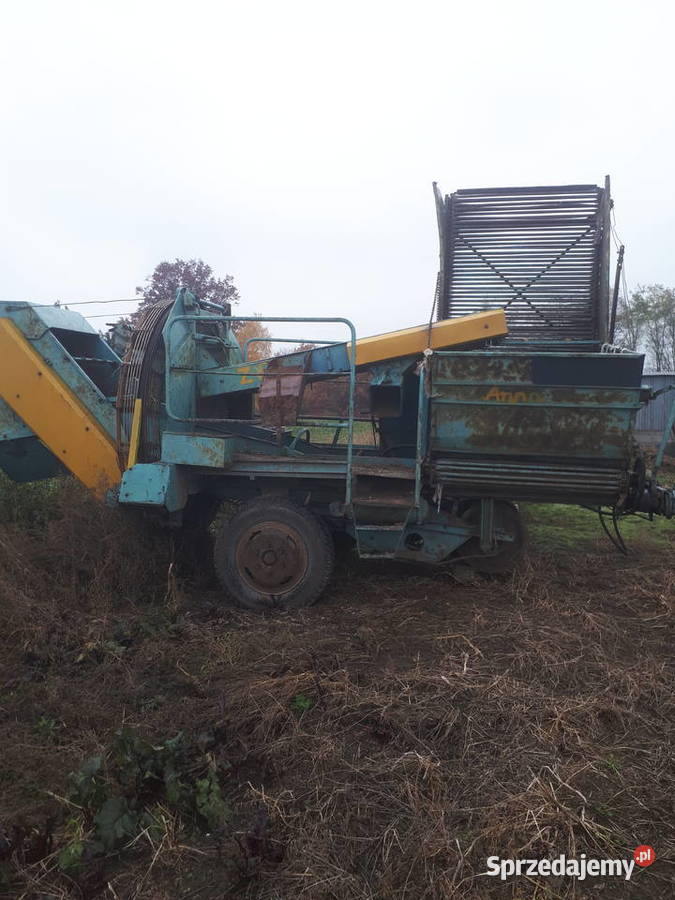 Kombajn ziemniaczany Anna z644 stan Do ziemniaków i warzyw świętokrzyskie Sobótka