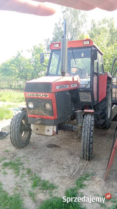 traktor URSUS 1004 80tka Żukowo