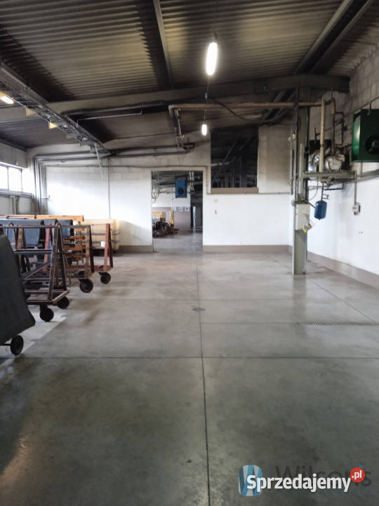 Lokal 1894m2 Radom Wynajem mazowieckie