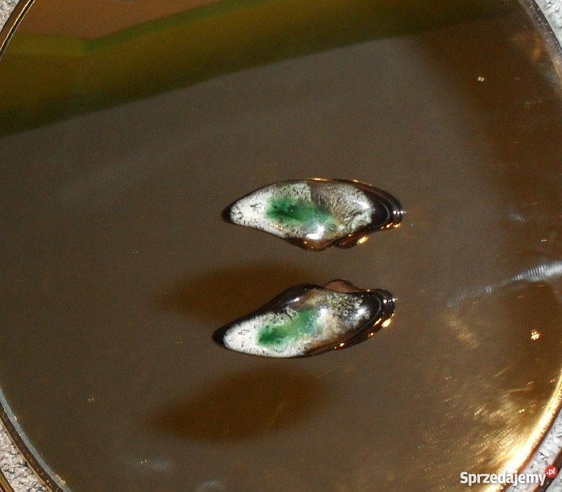 KLIPSY SKRZYDŁA Łódź