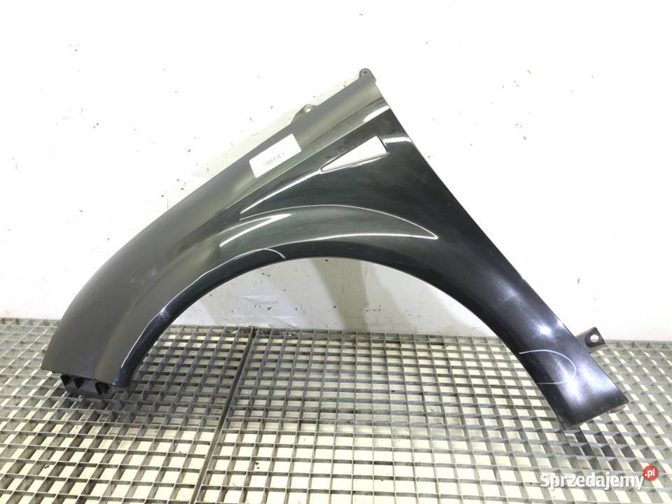 BŁOTNIK LEWY PRZÓD RENAULT SCNIC II Minivan 0310 Błotniki podkarpackie