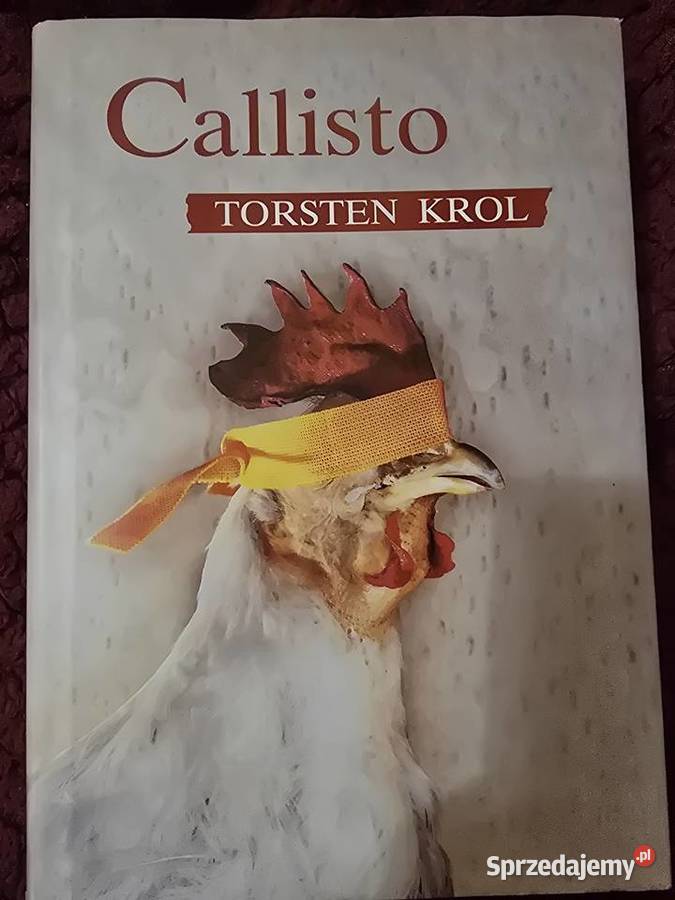 Callisto Torsten Kroll małopolskie Kraków
