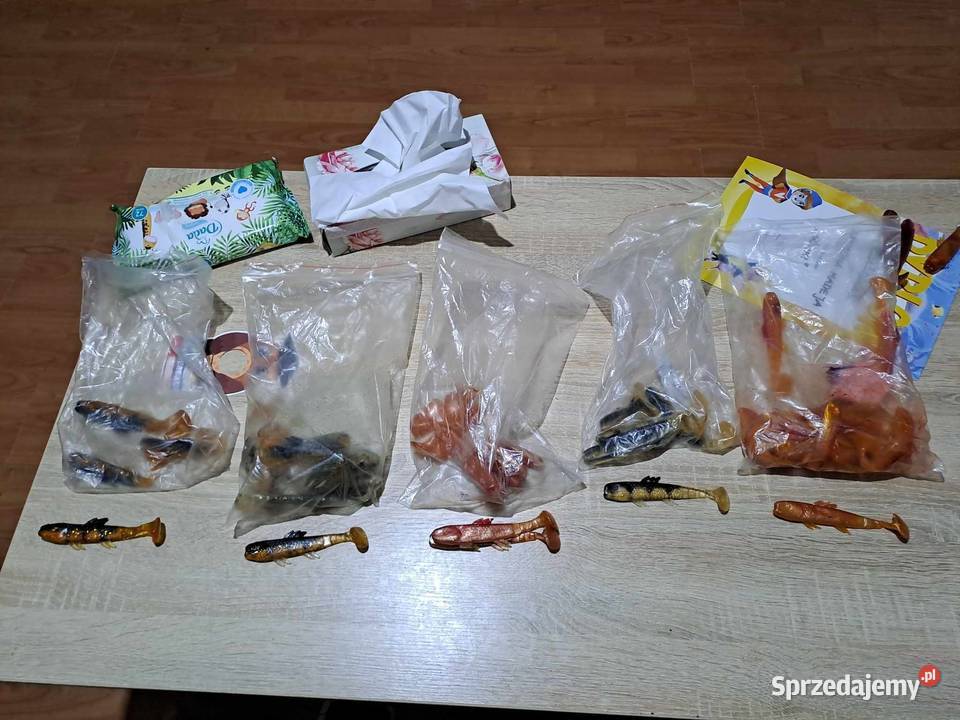 przynęty sandacz szczupak sum Szczecinek