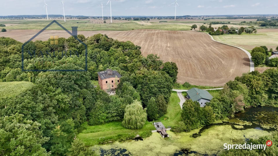 Wyjątkowy dawny Młyn rzeką Osą Babalice