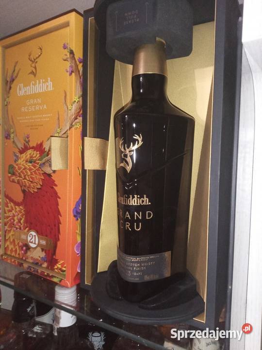 Weesky szkocka Bolesławiec