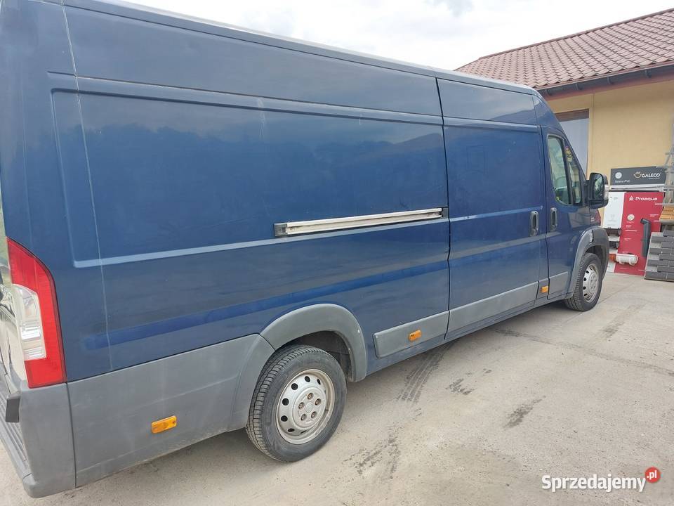 Wynajmę wynajem bus dostawcze Fiat Ducato Maxi