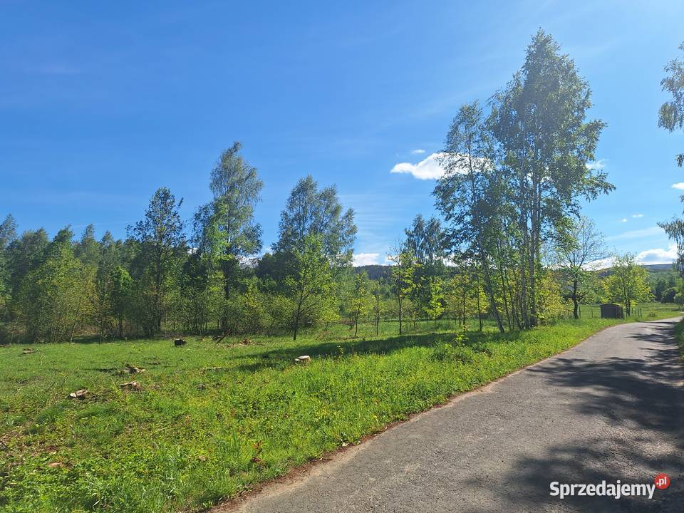 Działki w Małej Kamienicy Stara Kamienica