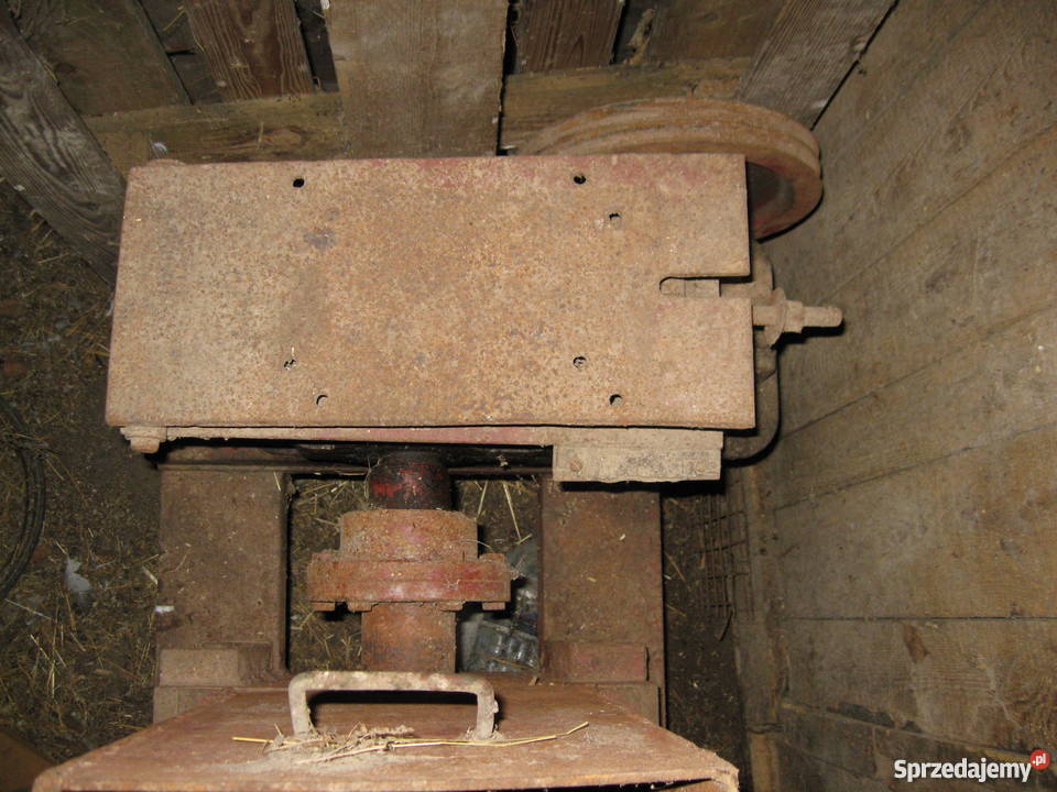 łamacz do mięsa i kości Złota