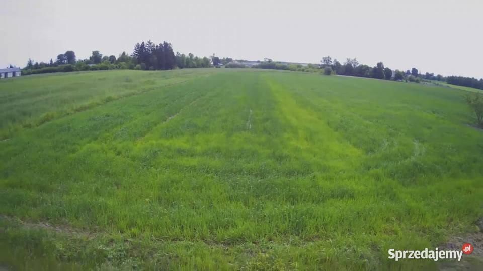Działka rolnobudowalana Brzostówka g Serniki 50a lubelskie