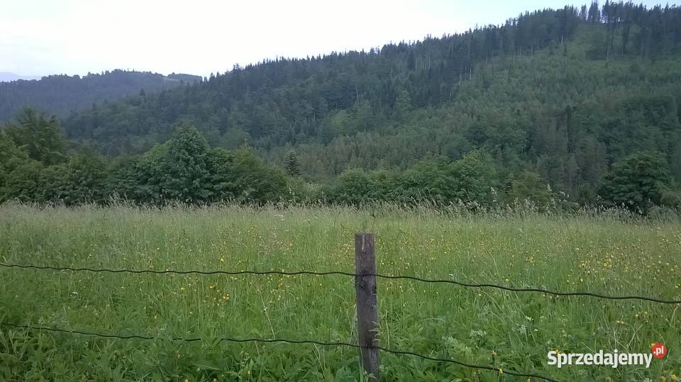 Działka budowlana Wiśla Soszów stacja narciarska Wisła sprzedam
