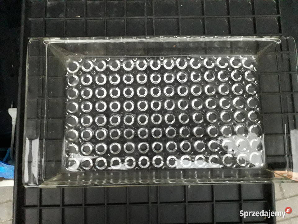 Taca patera Asteroid Ząbkowice Warszawa