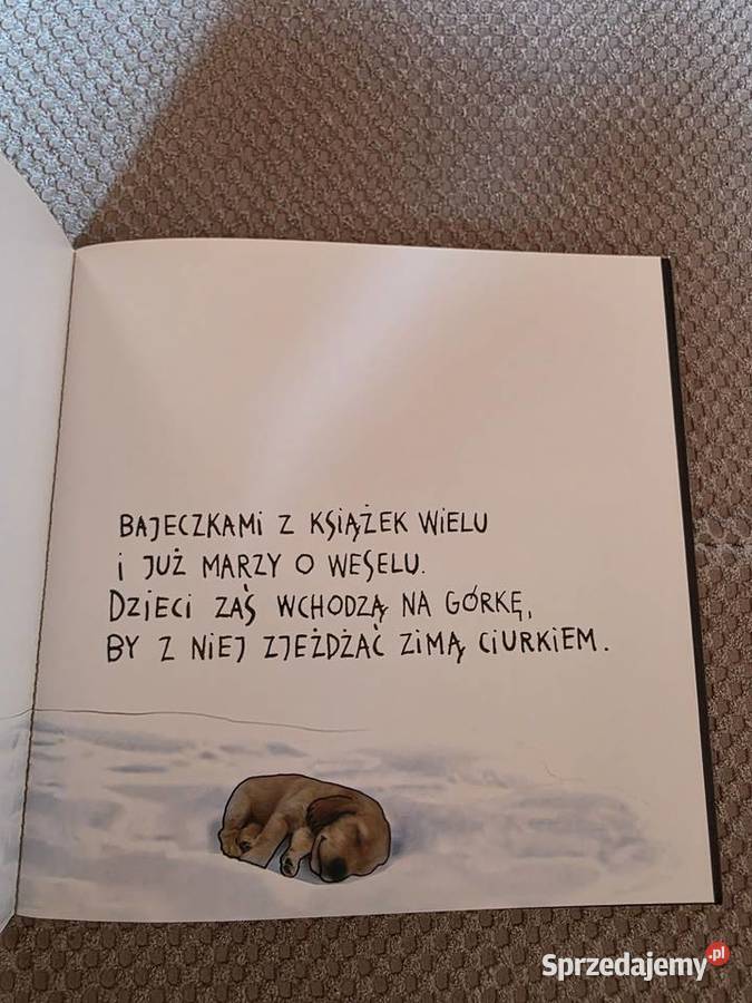 Nochal Czarodziej Agnieszka WolnyHamkało Antek ISBN 9788392148333 małopolskie Kraków