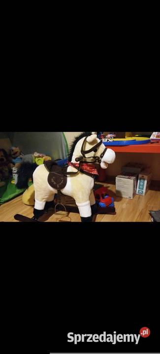 Konik na biegunach gunach