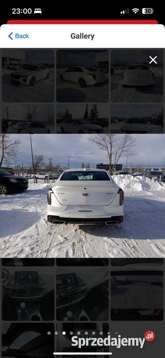 Cadillac c4 wersja sport napęd 4X4 235 koni Oława