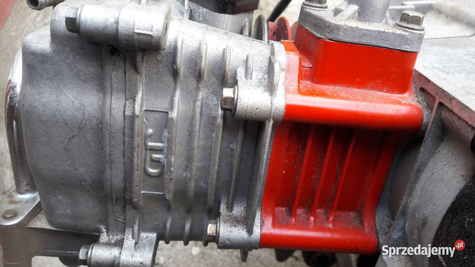 Silnik skuter Poster Sarzyna