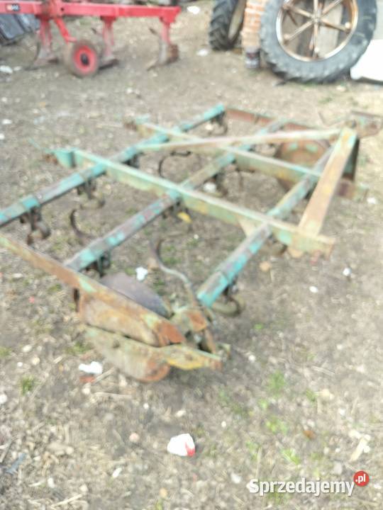 Kurtywator Grudziadz zebow 14 Miłochniewice