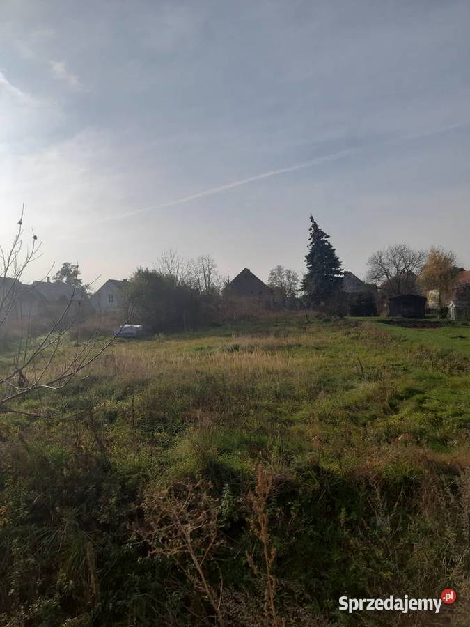 Działka Olszanka sprzedam