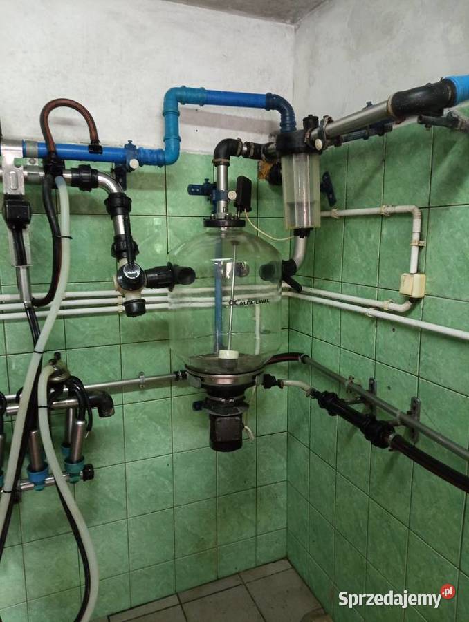 Sprzedam dojarkę przewodową alfa laval warmińsko-mazurskie Elbląg