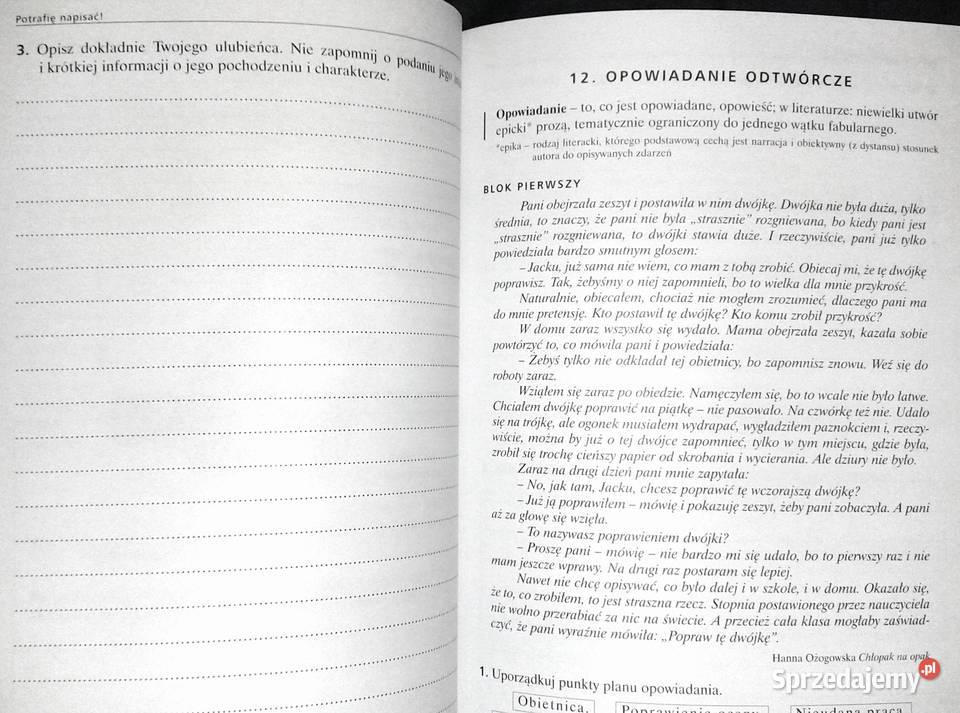 Potrafię napisać Ćwiczenia językowe uczniów klas Rok wydania 2006 Książki i Podręczniki lubelskie