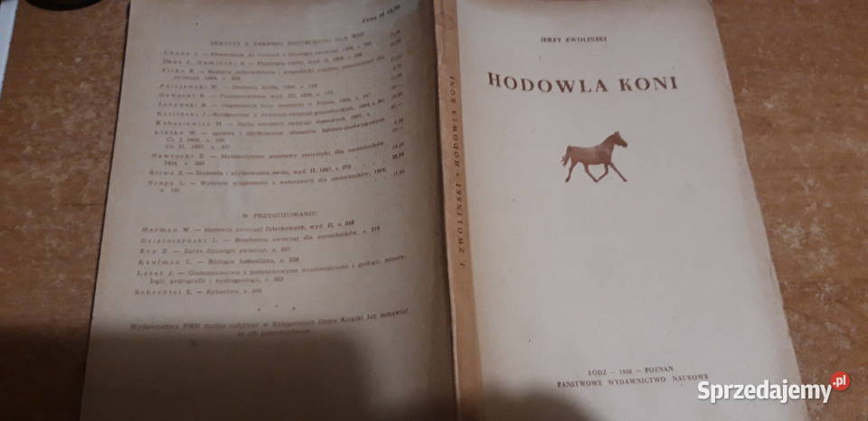 DZIEJE KOŚCIOŁA POWSZECHNEGO KSWKRYNICKI 1925 Iwno