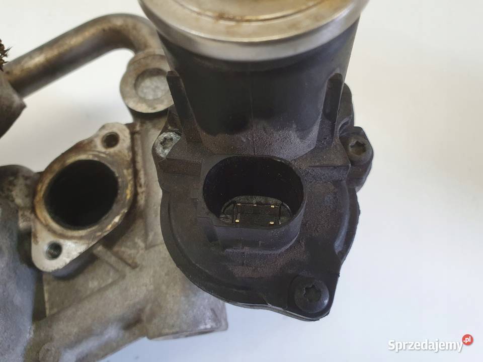 VW Caddy III 16 TDI CHŁODNICA SPALIN zawór egr osobowe Chełm