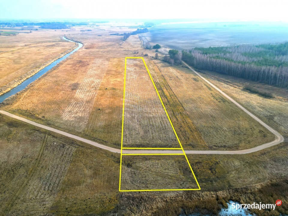 Łąka Horbów Kolonia gm Zalesie pow bialski Horbów-Kolonia