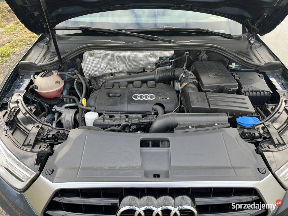 Audi Q3 20 TFSI mały przebieg Rok produkcji 2016 Łańcut